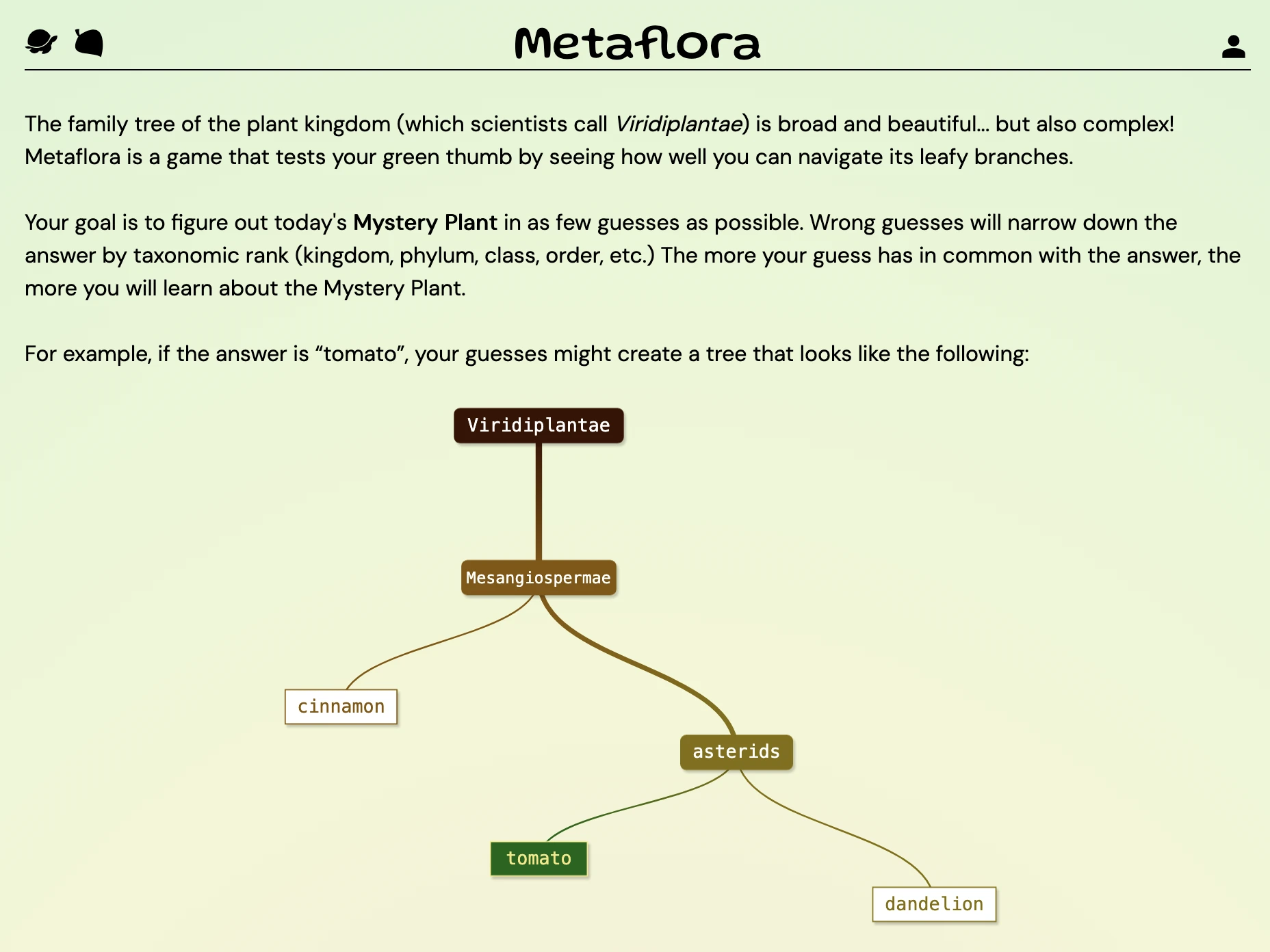 Screenshot of Metaflora