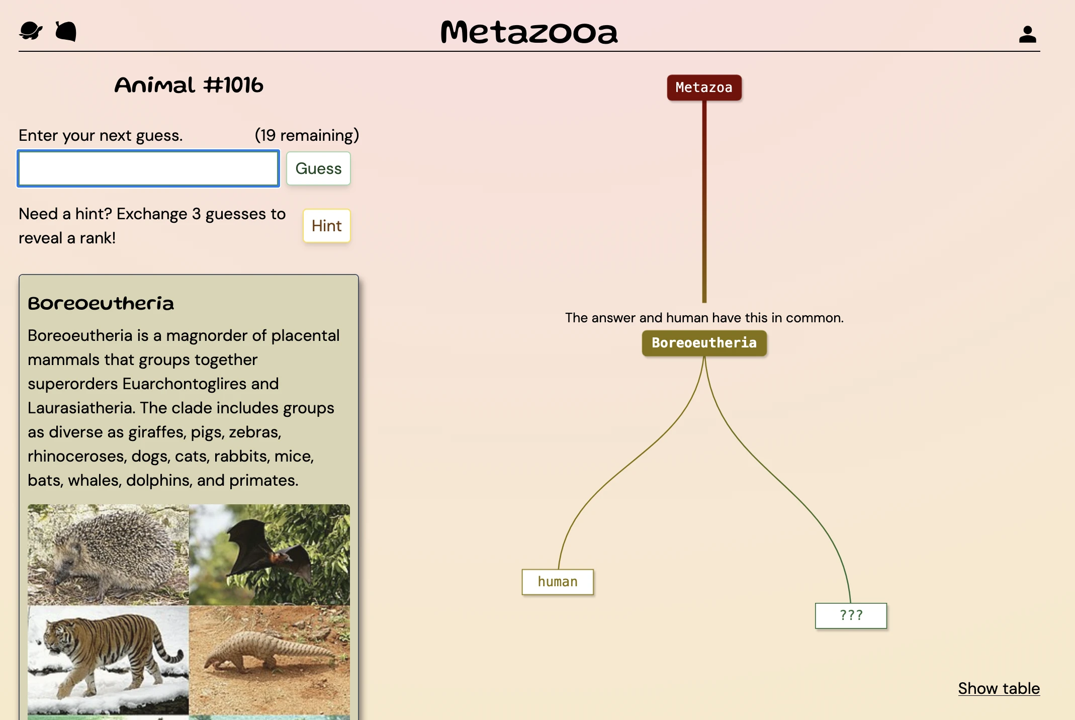Screenshot of Metazooa