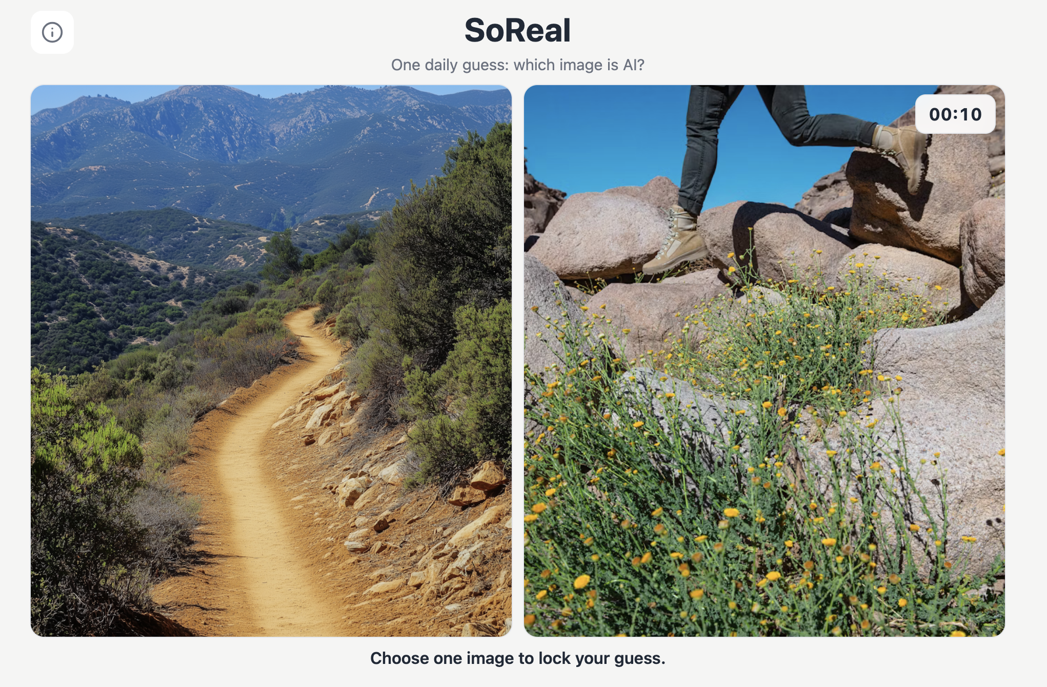 Screenshot of SoReal