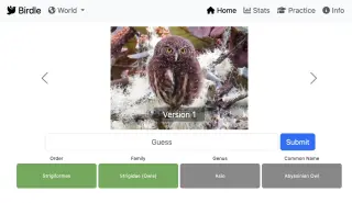 Screenshot of Birdle