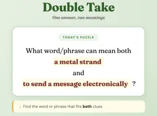 Screenshot of Double Take