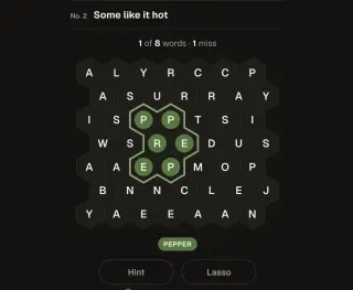 Screenshot of Lassogram
