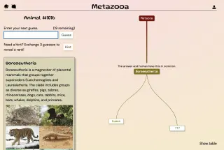 Screenshot of Metazooa