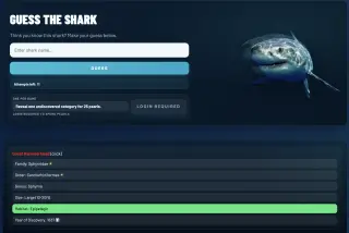 Screenshot of Sharkdle